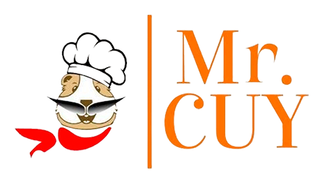 mr-cuy-copia